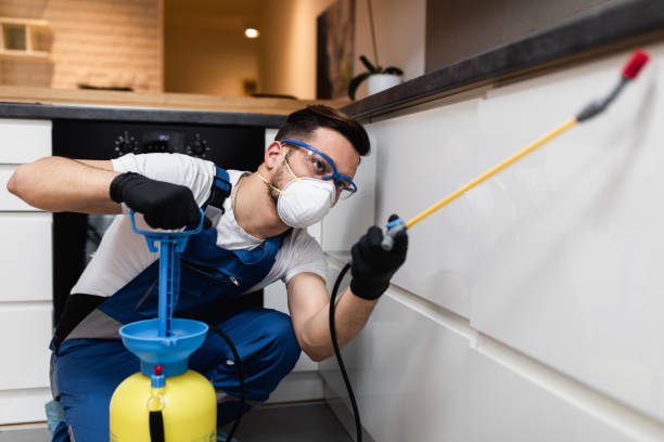 Best Best Pest Control Companies  in Sheffield Lake, OH